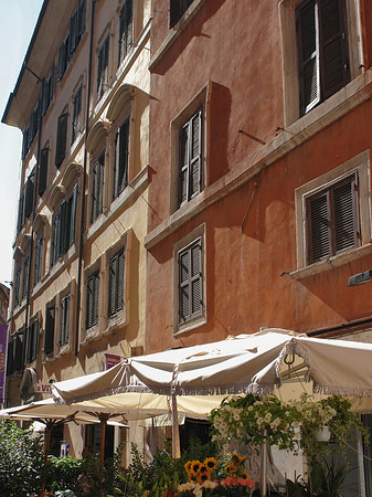 Blumen in der Altstadt - Latium (Rom) (Rom)