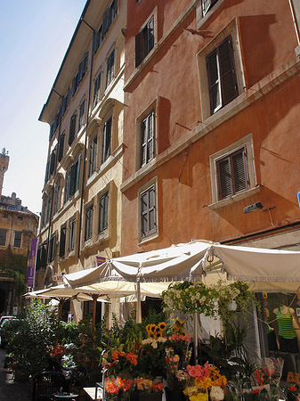 Blumen in der Altstadt - Latium (Rom) (Rom)