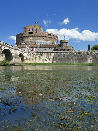 Foto Tiber