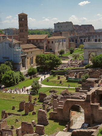 Blick auf das Forum Romanum - Latium (Rom) (Rom)