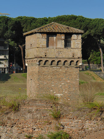 Ruine der ehemaligen Südtribüne - Latium (Rom) (Rom)