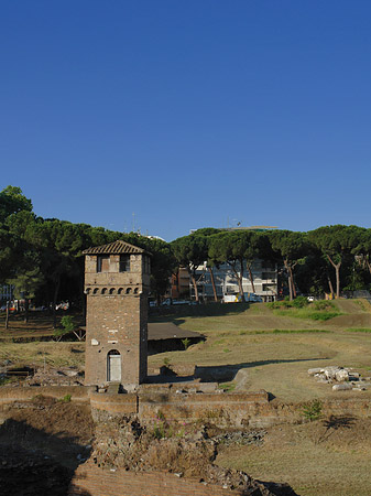 Ruine der ehemaligen Südtribüne - Latium (Rom) (Rom)