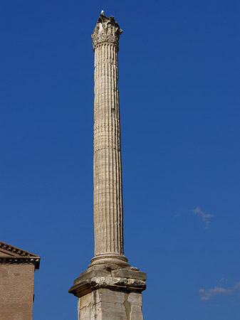 Fotos Phokassäule | Rom