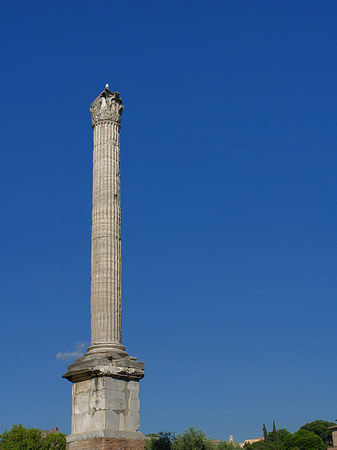 Phokassäule - Latium (Rom) (Rom)