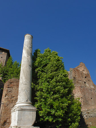 Säule am Tempel - Latium (Rom) (Rom)