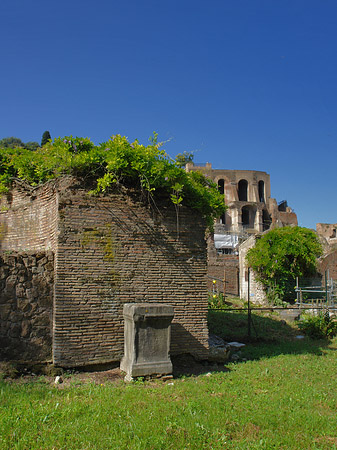 Steine im Forum Romanum - Latium (Rom) (Rom)