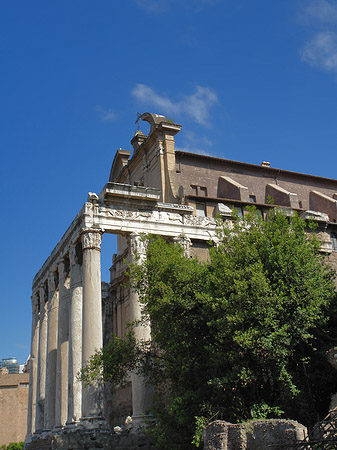 Fotos Tempel des Antoninus Pius und der Faustina | Rom