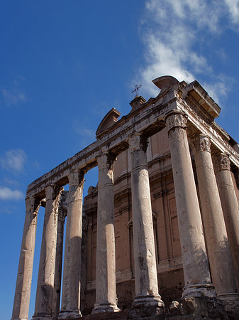 Tempel des Antoninus Pius und der Faustina - Latium (Rom) (Rom)