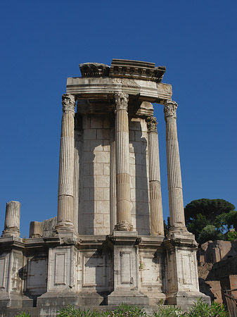 Fotos Tempel der Vesta | Rom