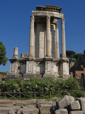 Tempel der Vesta - Latium (Rom) (Rom)