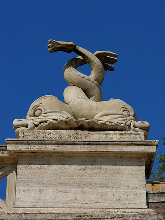 Foto Schlangen an der Piazza - Rom