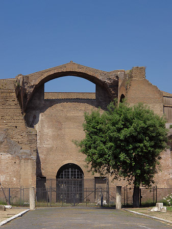 Santa Maria degli Angeli - Latium (Rom) (Rom)