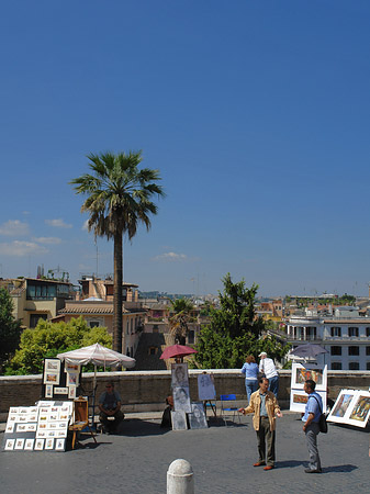 Palme an der Spanischen Treppe - Latium (Rom) (Rom)