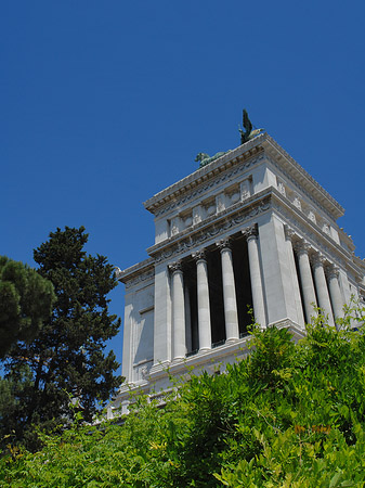 Bäume vor dem Monument - Latium (Rom) (Rom)