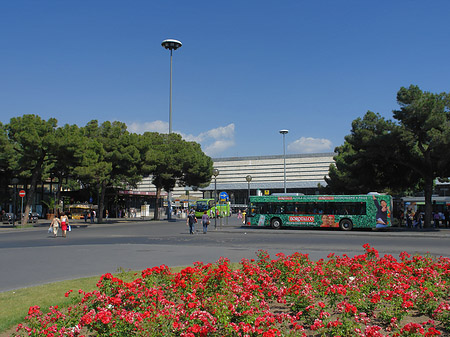 Blumen am Bahnhof - Latium (Rom) (Rom)