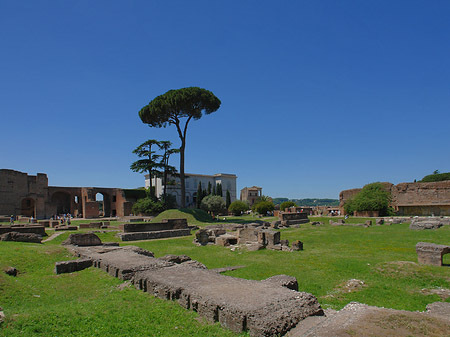 Domus Augustana und das Museo Palatino - Latium (Rom) (Rom)