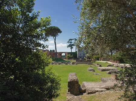 Domus Augustana und das Museo Palatino - Latium (Rom) (Rom)