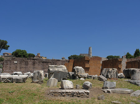 Basilica Aemilia - Latium (Rom) (Rom)