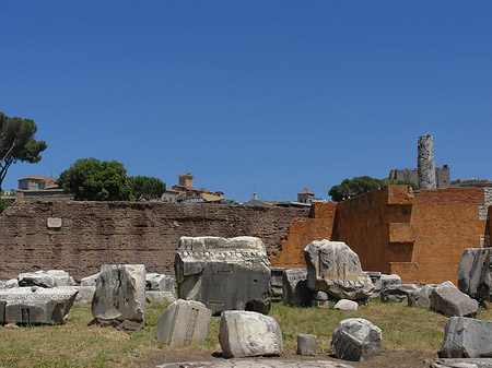 Basilica Aemilia - Latium (Rom) (Rom)