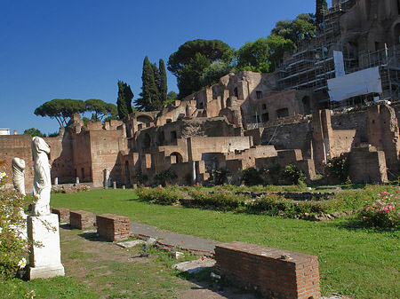 Basilica Iulia - Latium (Rom) (Rom)