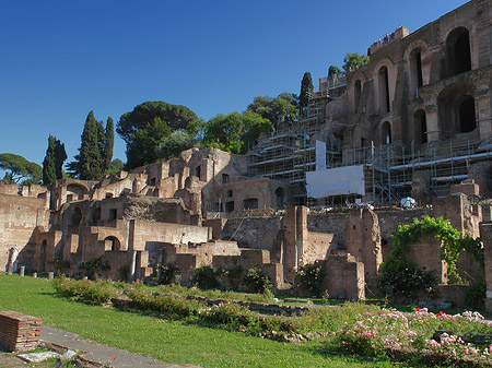 Basilica Iulia - Latium (Rom) (Rom)