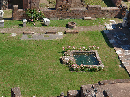 Blick auf das Forum Romanum - Latium (Rom) (Rom)