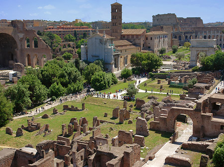 Blick auf das Forum Romanum Fotos