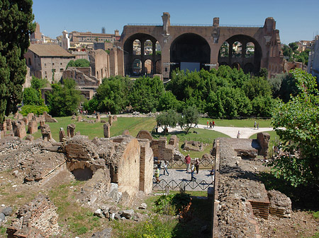 Blick auf das Forum Romanum - Latium (Rom) (Rom)