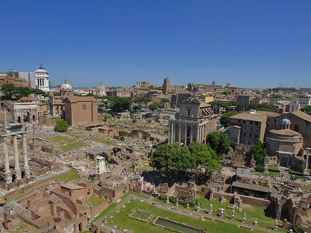 Blick auf das Forum Romanum - Latium (Rom) (Rom)