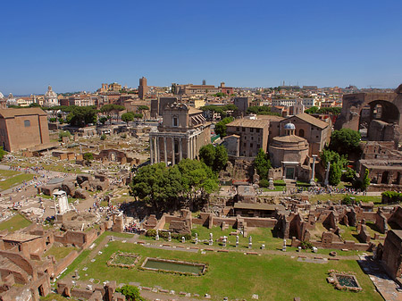 Blick auf das Forum Romanum - Latium (Rom) (Rom)