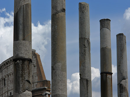 Blick zum Kolosseum - Latium (Rom) (Rom)