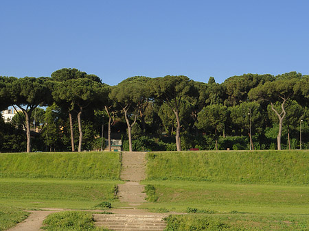 Circus Maximus - Latium (Rom) (Rom)