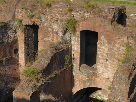 Ruine der ehemaligen Südtribüne - Latium (Rom) (Rom)