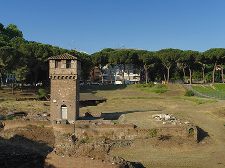 Ruine der ehemaligen Südtribüne - Latium (Rom) (Rom)