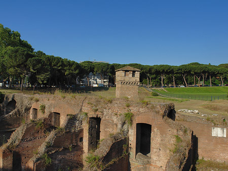 Ruine der ehemaligen Südtribüne - Latium (Rom) (Rom)