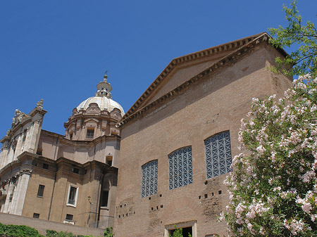 Curia Iulia - Latium (Rom) (Rom)