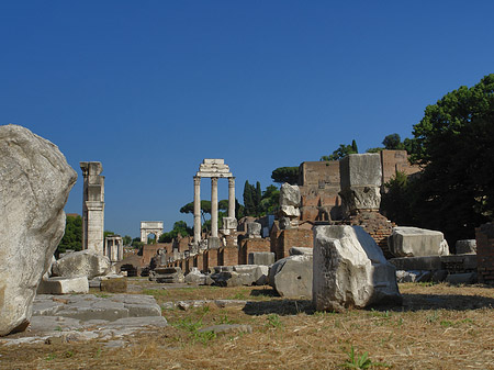 Dioskurentempel - Latium (Rom) (Rom)