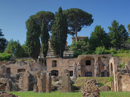 Foto Forum Romanum - Rom