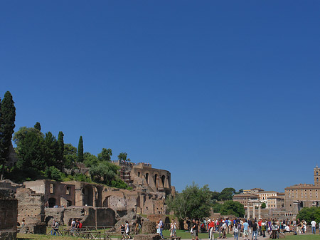 Forum Romanum Fotos