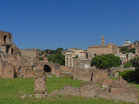 Forum Romanum - Latium (Rom) (Rom)