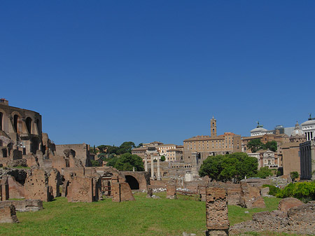 Forum Romanum - Latium (Rom) (Rom)