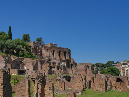 Forum Romanum - Latium (Rom) (Rom)