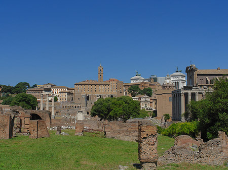 Forum Romanum - Latium (Rom) (Rom)