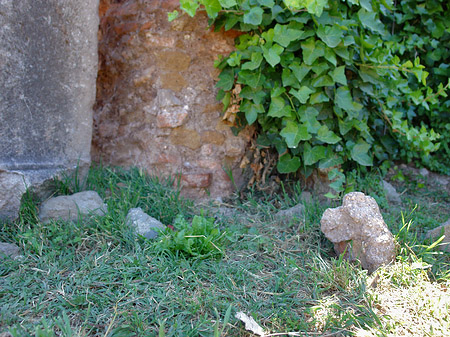 Steine im Forum Romanum - Latium (Rom) (Rom)