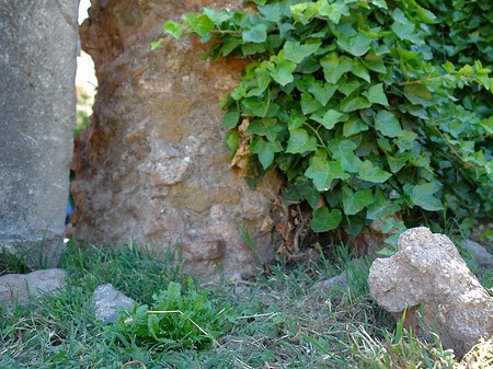 Steine im Forum Romanum - Latium (Rom) (Rom)