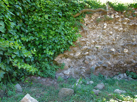 Steine im Forum Romanum - Latium (Rom) (Rom)