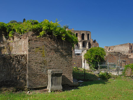 Steine im Forum Romanum - Latium (Rom) (Rom)