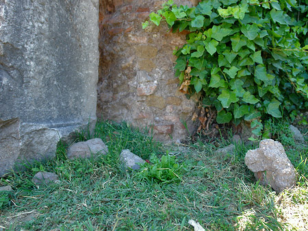 Steine im Forum Romanum - Latium (Rom) (Rom)