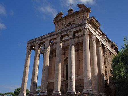 Tempel des Antoninus Pius und der Faustina - Latium (Rom) (Rom)