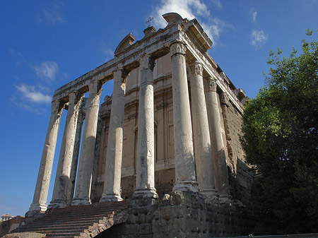 Fotos Tempel des Antoninus Pius und der Faustina